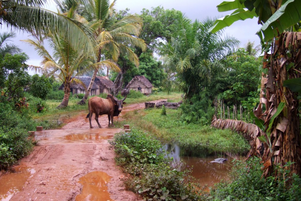 The Best Time to Come to Madagascar