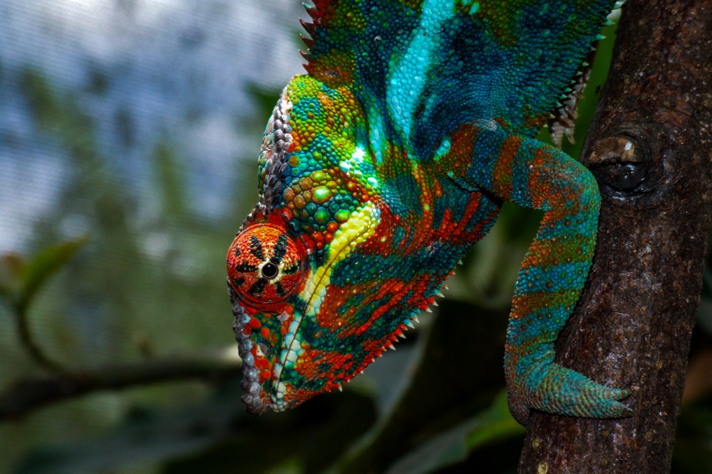 Best Attractions in Madagascar